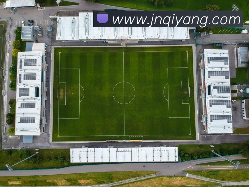 体育数据展示